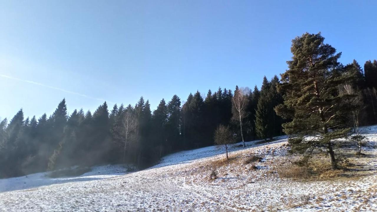 穆希纳Lesny Zaulek别墅 外观 照片